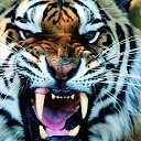 ���� 40rus, ������, 49 ��� - ��������� 24 ���� 2019