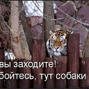 ���� �������, �����, 53 ���� - ��������� 22 ���� 2019