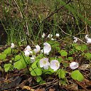 ���� �����, �����-��������� - ��������� 3 ������ 2019 � ������ ���� ����������