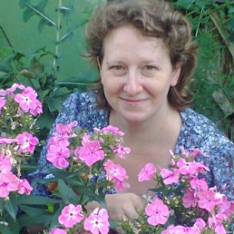 ����, ������, 49 ���