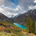  , -, 64  -  4  2019    ,  