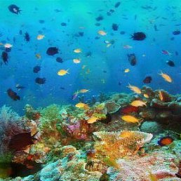 ���� ��������, ��������, 49 ��� - ��������� 20 �������� 2019