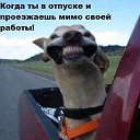 ���� ��������, ������, 42 ���� - ��������� 24 ���� 2019
