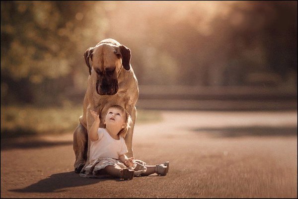 «Маленькие дети и их большие собаки» — фотопроект Андрея Селиверстова - 2