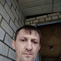 ������, ������, 44 ����