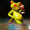 ���� ��������, ������, 49 ��� - ��������� 17 ������ 2019 � ������ ���� ����������