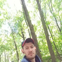 �����, ������, 37 ���