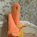 ���� ����, ��������, 49 ��� - ��������� 24 ������� 2019 � ������ ������