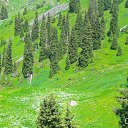 ���� �������, ������ - ��������� 16 ������ 2019 � ������ ���� ����������