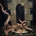 ���� �����, �����-���������, 61 ��� - ��������� 30 ������� 2019 � ������ ������� 2019 �.�