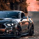 ���� �����, ������������, 37 ��� - ��������� 3 ��� 2019 � ������ ���� ����������