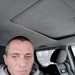 �����, ����� �������, 46 ���