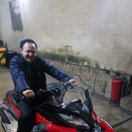 ���� ������, ������, 43 ���� - ��������� 10 ������� 2019