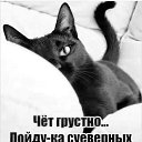 ���� ������, ������������ - ��������� 25 �������� 2019 � ������ ������ ��������