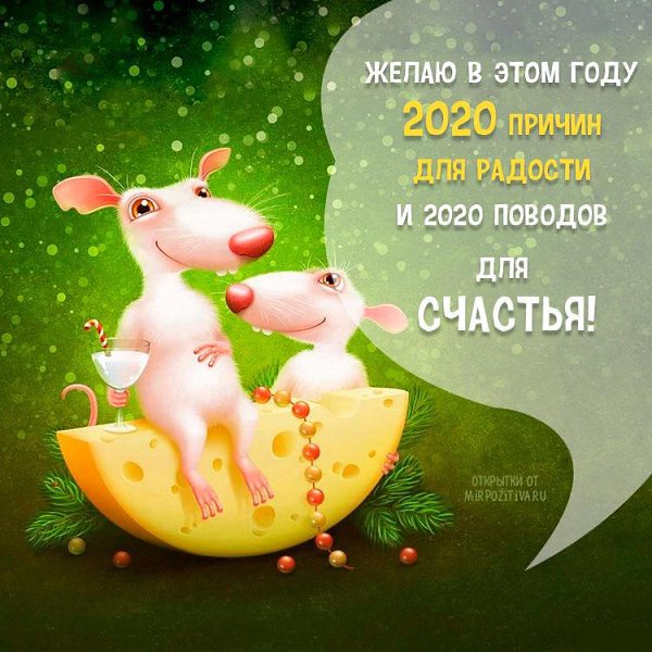  - 31  2019  19:55