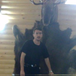 ������, ��������, 52 ����