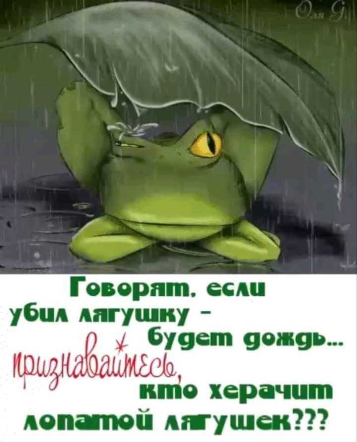   - 12  2019  10:06