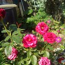 ���� ��������, ����� - ��������� 11 ������� 2019 � ������ ������ ��������