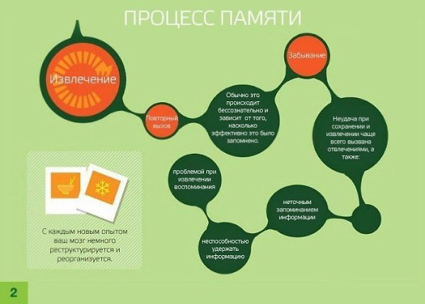 Работа памяти и способах её улучшения. Подборка советов. - 5