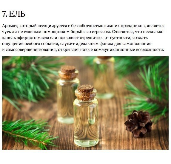 Запахи, которые взбодрят, успокоят и подарят радость.#полезное@ican - 7
