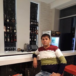 �����������, �����-���������, 41 ���