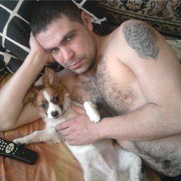 �����, �����, 44 ����