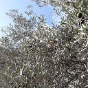 ���� �������(�� �������� ), ������� - ��������� 30 ������� 2019 � ������ ������ ��������