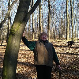 �����, ����, 85 ���