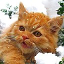 ���� ������, �������, 47 ��� - ��������� 18 ������ 2019