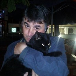 ���� ����, ����, 56 ��� - ��������� 9 ������� 2019