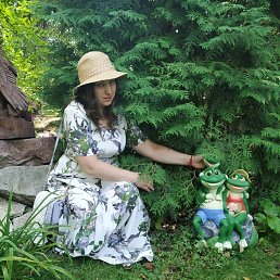 �������, 38 ���, ����