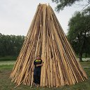 ���� ��������, ������, 62 ���� - ��������� 10 ���� 2019 � ������ ���� ����������