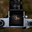 ���� ��������, ������ - ��������� 10 ��� 2019 � ������ ������ ��������