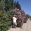 ���� �����, ��������, 64 ���� - ��������� 30 ���� 2019 � ������ ���� ����������