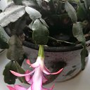 ���� �������, �����������, 55 ��� - ��������� 16 ������� 2019 � ������ ���� ����������