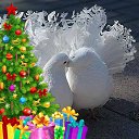 ���� ������, ������, 58 ��� - ��������� 29 ������ 2019 � ������ ���� ����������