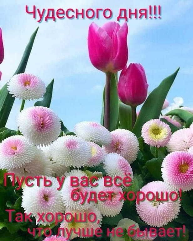   ,    . - 24  2019  14:58