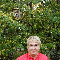 �����, ����-���������, 53 ����