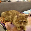 ���� Stanislawa, �����������, 45 ��� - ��������� 6 ������ 2019 � ������ �������