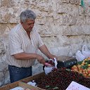 ���� ��������, �������, 74 ���� - ��������� 8 �������� 2019 � ������ ��������.�.�������.�