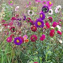 ���� �����, ��������, 53 ���� - ��������� 8 ������� 2019