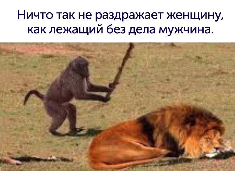  - 22  2019  00:47