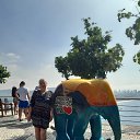 ��� 2019 �� ������� ���� 2019�