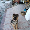 ���� Farruh, ����������, 52 ���� - ��������� 30 ���� 2019