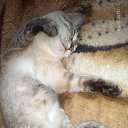 ���� �������, �����-���������, 49 ��� - ��������� 10 ���� 2019 � ������ ������ ��������