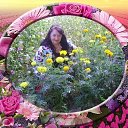 ���� �������, ������ ��������, 67 ��� - ��������� 31 ���� 2019 � ������ ������ ����� ���������