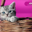 ���� ����, ������, 31 ��� - ��������� 4 ������� 2019 � ������ ���� ����������