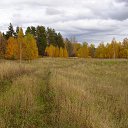 ���� ��������, �����, 66 ��� - ��������� 14 ������� 2019 � ������ ������ ��������