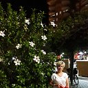 ���� **��������**, �������� - ��������� 8 ������� 2019 � ������ �������