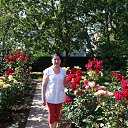 ���� ���������, ����, 72 ���� - ��������� 8 ���� 2019 � ������ ���� ����������